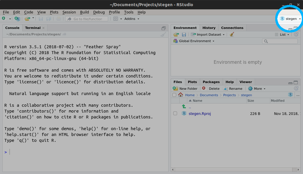 Screenshot of RStudio project set to
stegen